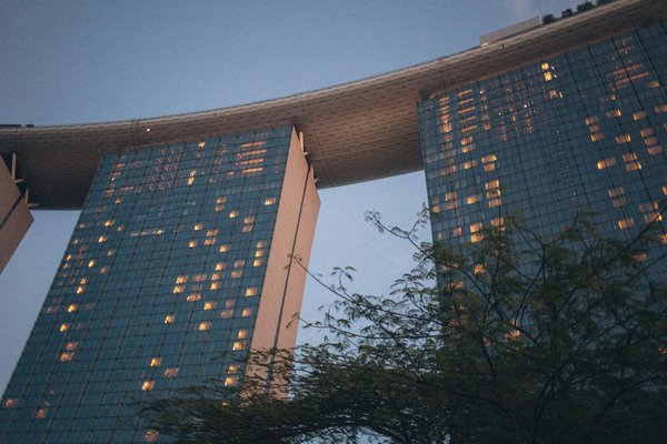 Comment Analyser Paris Sportif