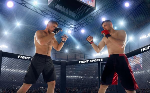 2025 Mma Ligue 1
