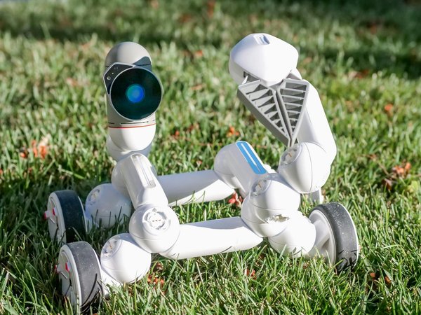 Bookmaker Paris Sportif Suisse