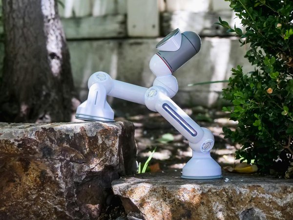 2025 1er Pari Gratuit